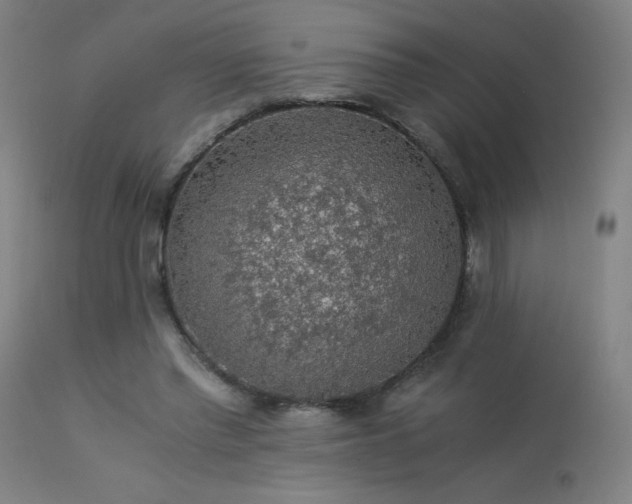 X0000114170397200910081527