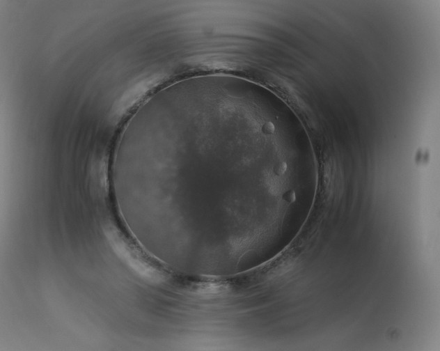 X0000114170398200910081527