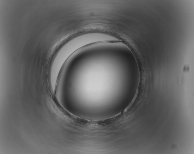 X0000114170399200910081527