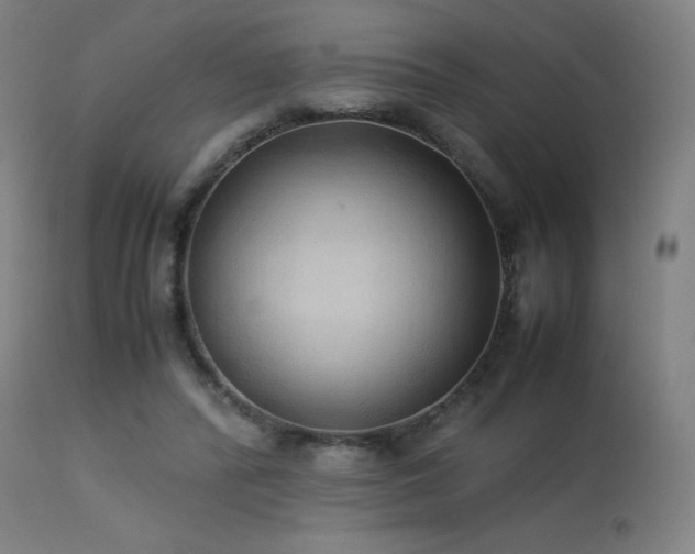 X0000114170400200910081527