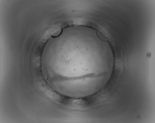 X0000114170401200910081527
