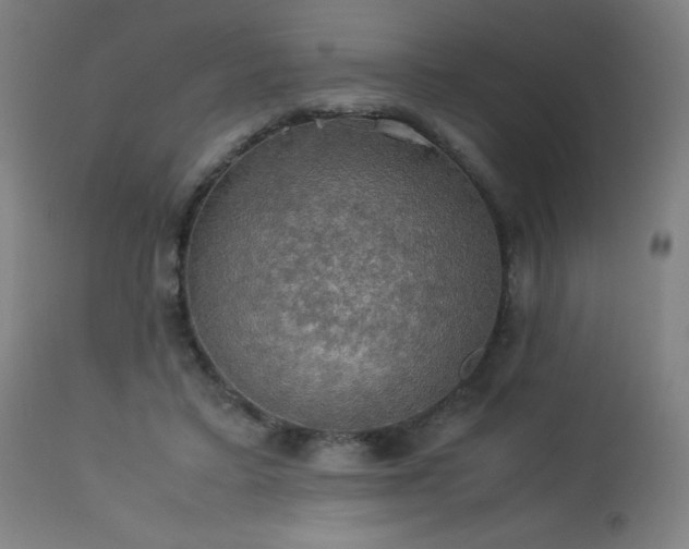 X0000114170403200910081527
