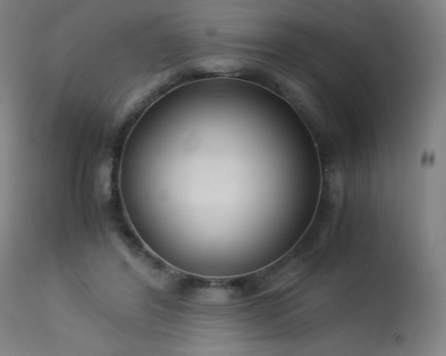 X0000114170404200910081527