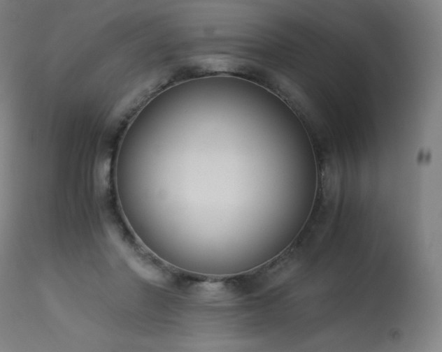 X0000114170406200910081527