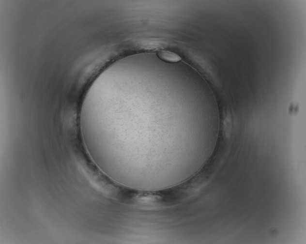 X0000114170407200910081527