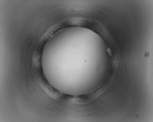 X0000114170408200910081527