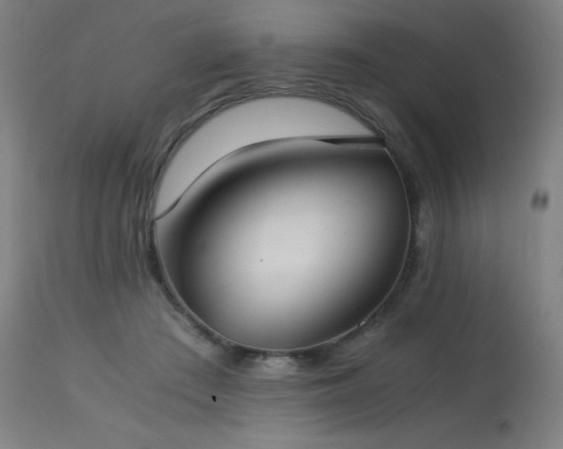 X0000114170409200910081527