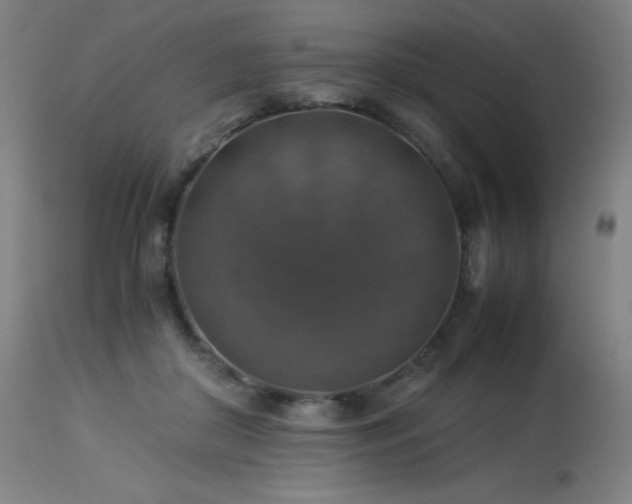 X0000114170410200910081527