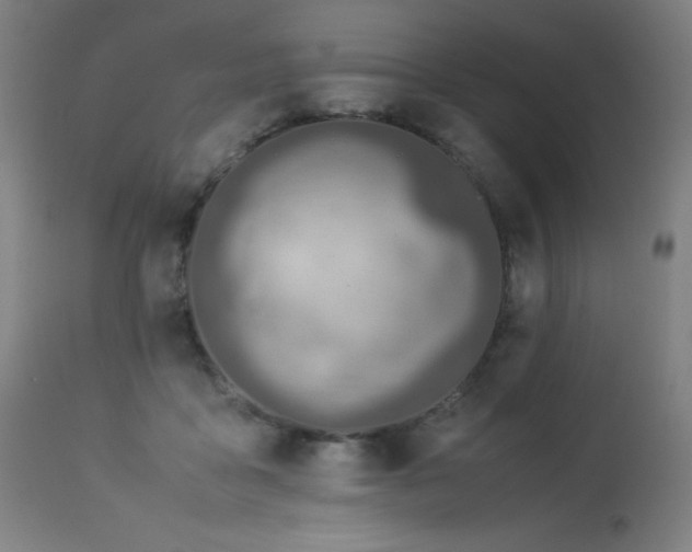 X0000114170411200910081527