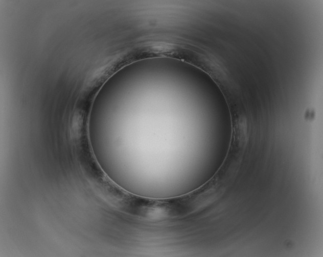 X0000114170412200910081527