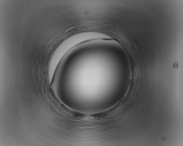 X0000114170413200910081527
