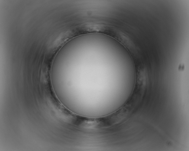 X0000114170414200910081527