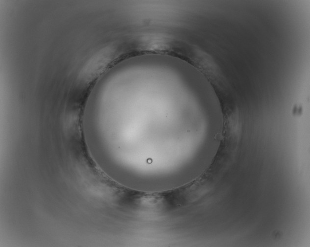X0000114170415200910081527