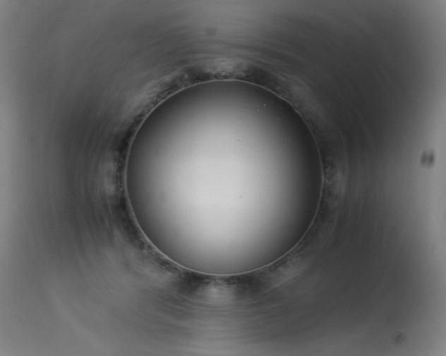 X0000114170416200910081527