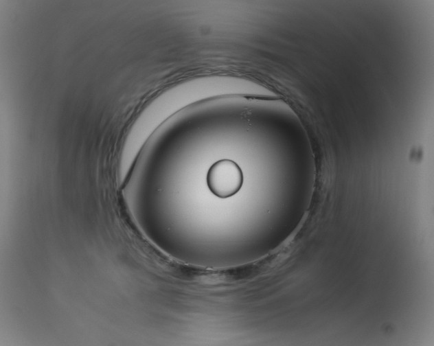 X0000114170417200910081527