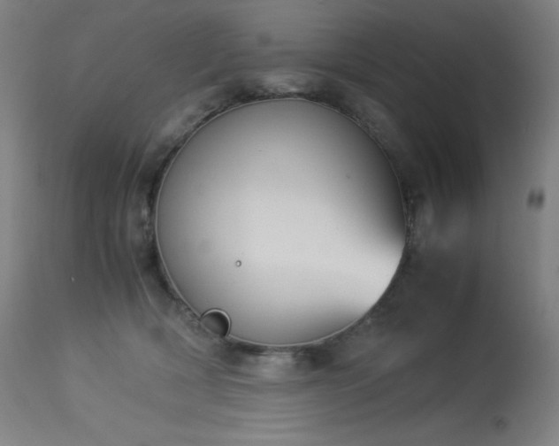 X0000114170418200910081527