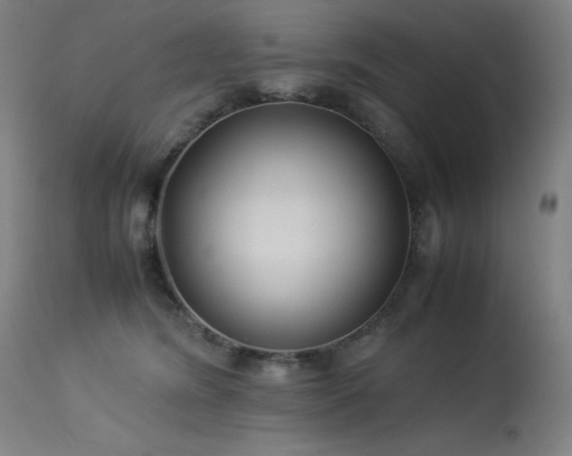 X0000114170420200910081527