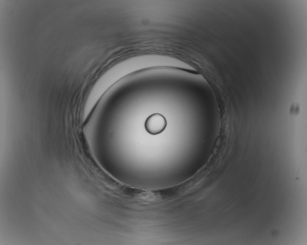X0000114170421200910081527