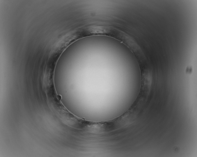 X0000114170422200910081527