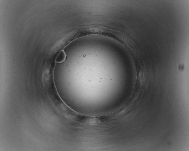 X0000114170424200910081527