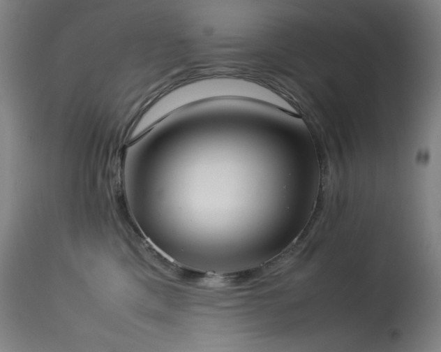 X0000114170425200910081527