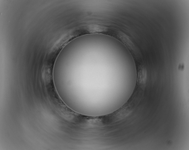 X0000114170426200910081527