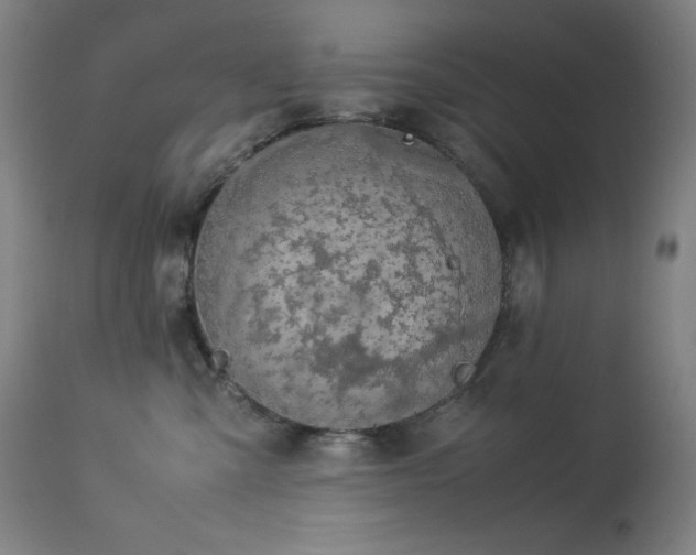 X0000114170427200910081527