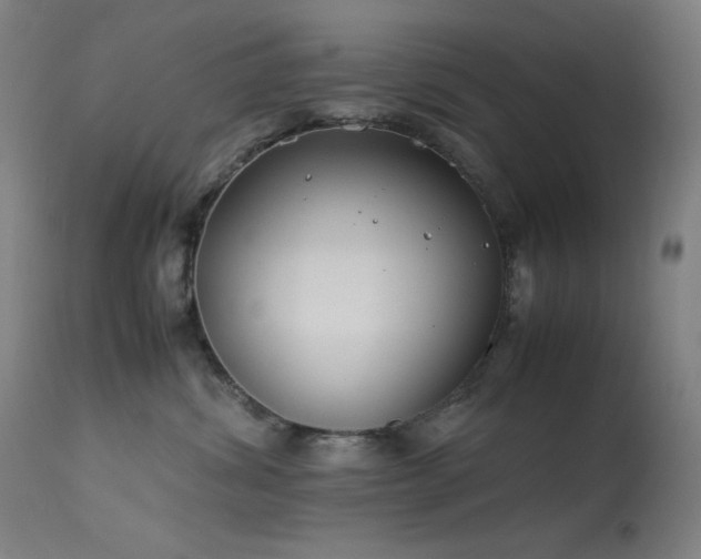 X0000114170428200910081527