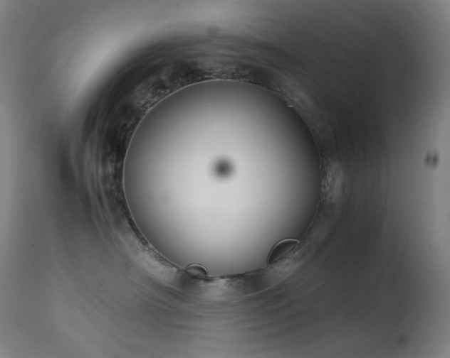 X0000114170430200910081527