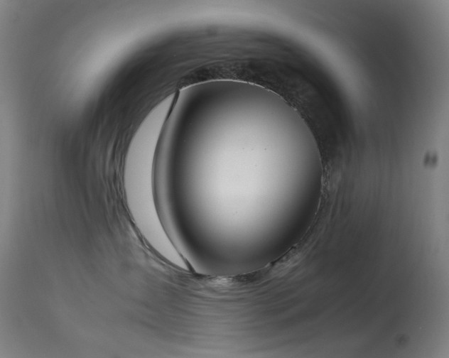 X0000114170431200910081527