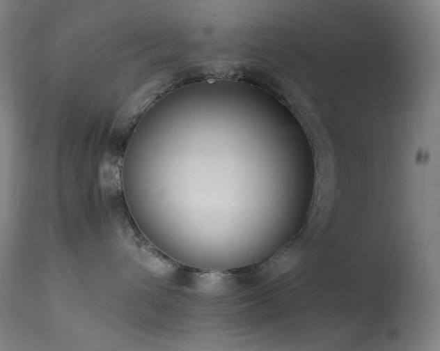 X0000114170432200910081527