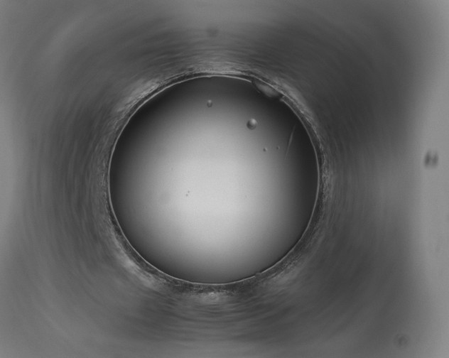 X0000114170433200910081526