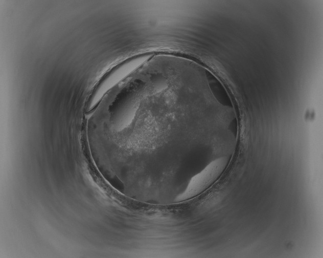 X0000114170434200910081526