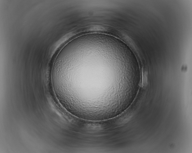 X0000114170435200910081526