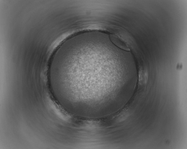 X0000114170436200910081526