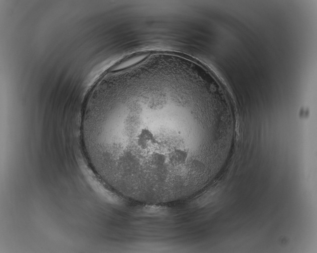X0000114170437200910081526