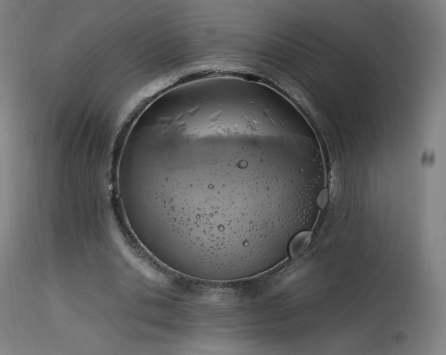 X0000114170438200910081526
