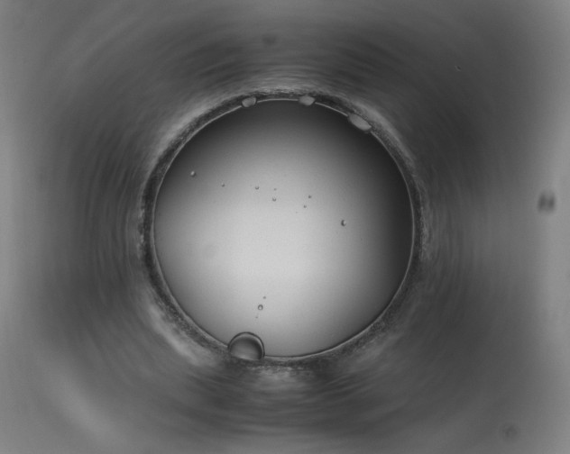 X0000114170439200910081526