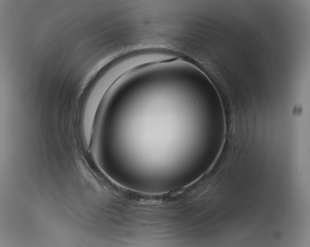 X0000114170440200910081526
