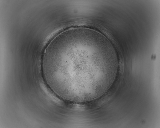 X0000114170442200910081526