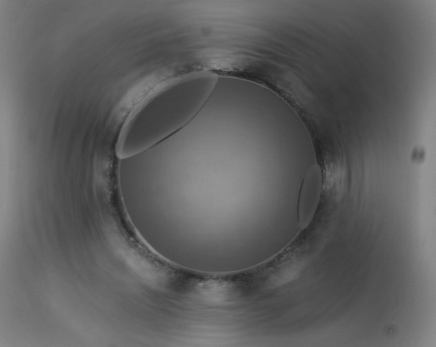 X0000114170444200910081526