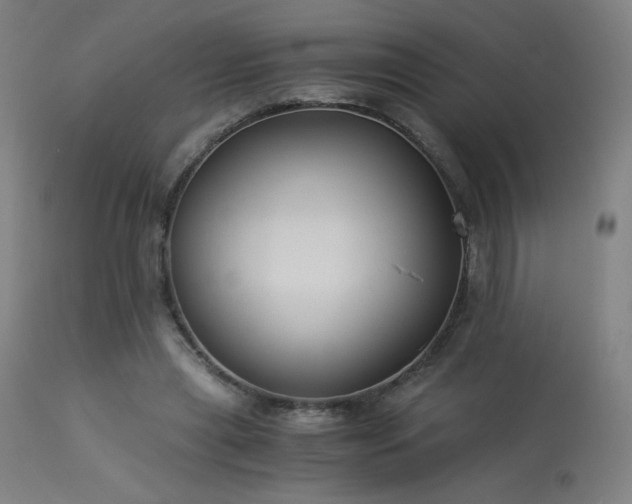 X0000114170445200910081526