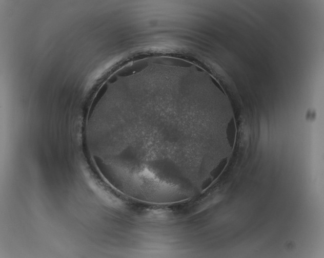 X0000114170446200910081526