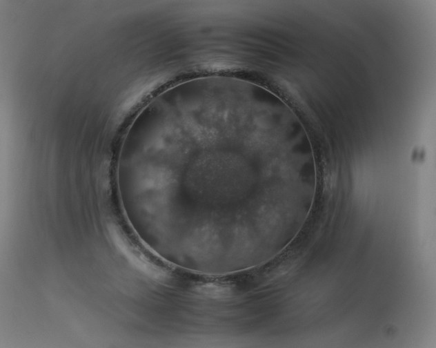 X0000114170447200910081526