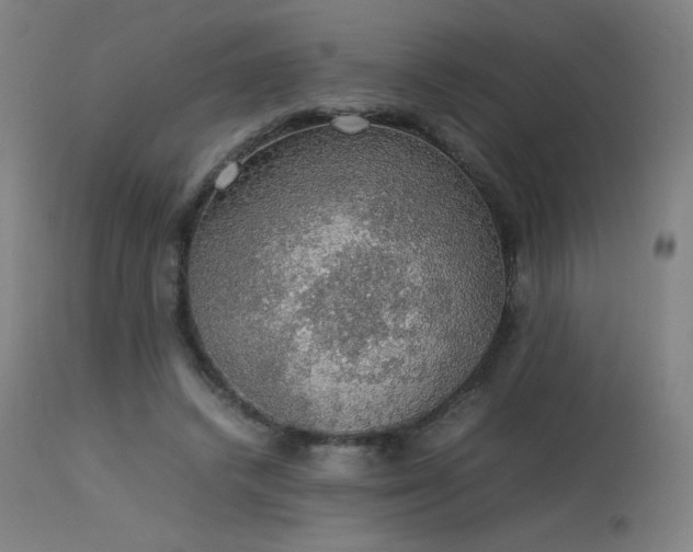 X0000114170448200910081526
