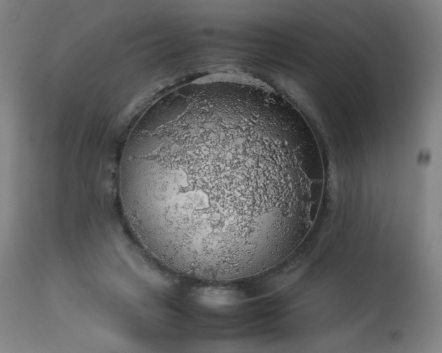 X0000114170449200910081526