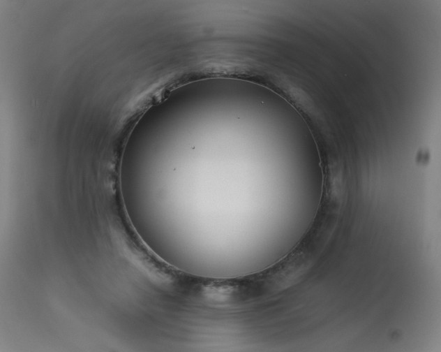 X0000114170450200910081526