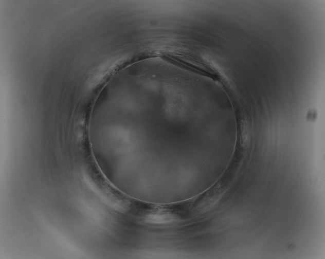 X0000114170451200910081526