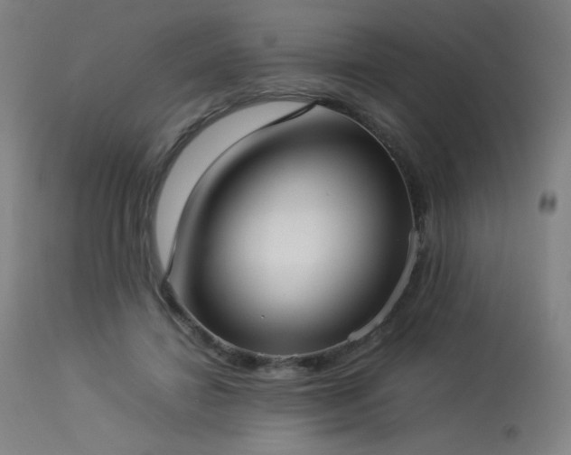 X0000114170452200910081526