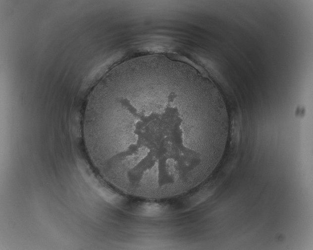 X0000114170453200910081526
